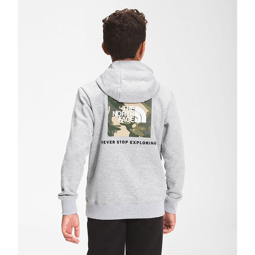 The North Face Hoodie Boys Australia - The North Face Camp Fleece Pullover Light Grey (SUM-549178)